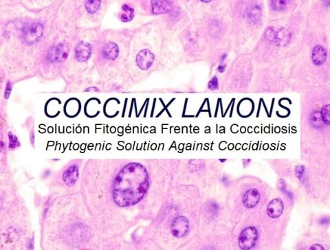 COCCIMIX Lamons